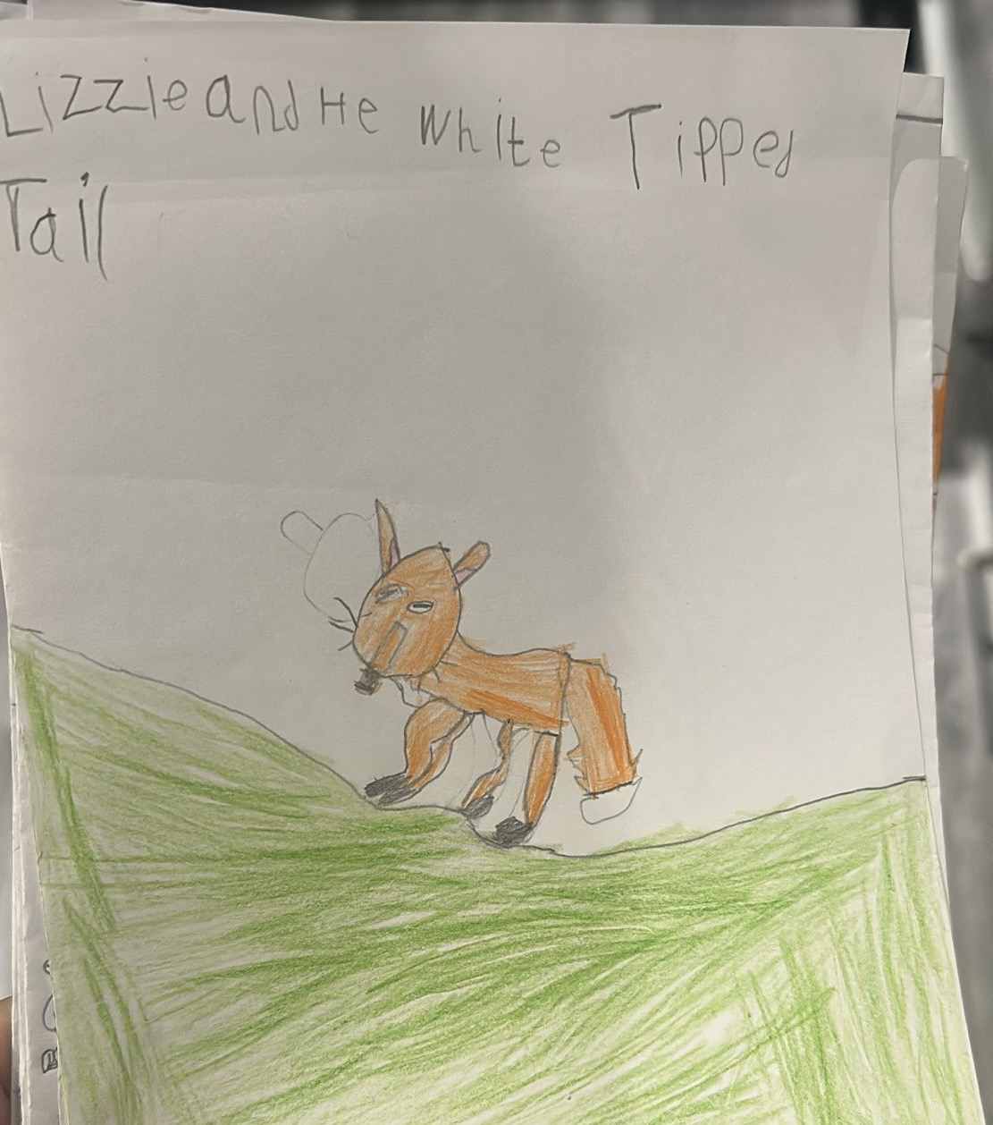 A child's drawing of Lizzie in Hyde Park
